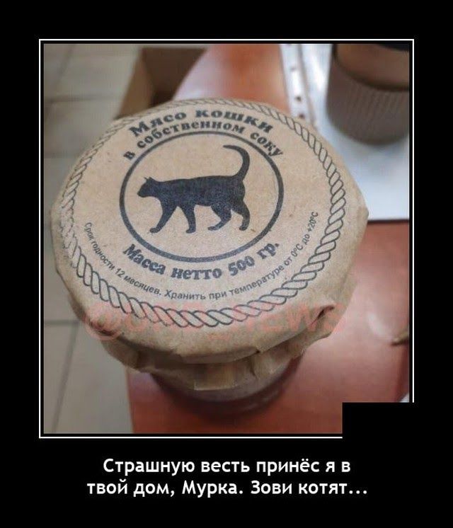 Страшную весть принёс я в твой дом Мури Зови копи