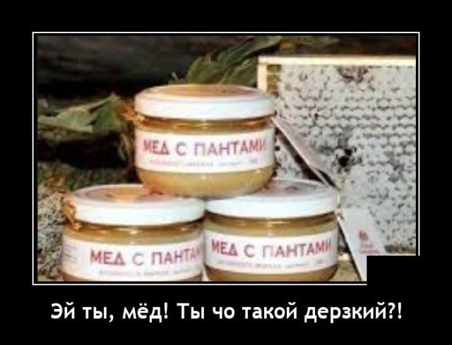 Эй ты мёд Ты чо такой дерзкий