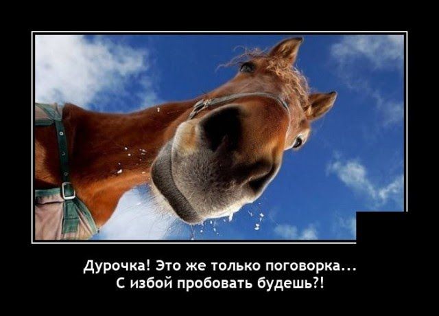 дурсчка Эт же галька поговори иабой пробовать будешь