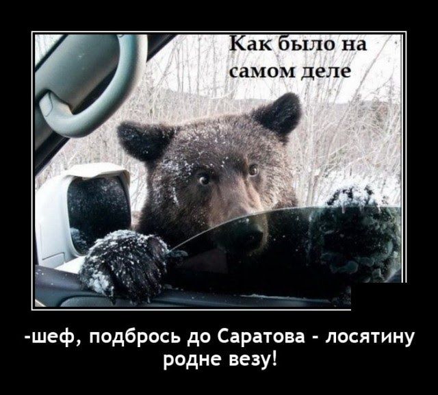 ак оыло на самом деле д шеф подбрось до Саратова посятину рьдне веду
