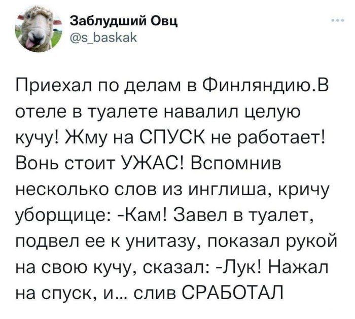 _ Заблудший ош э_Ьа51аи Приехал по делам в Финляндиюв отеле в туалете навалил целую учу Жму на СПУСК не работает Вонь стоит УЖАС Вспомнив НЕСКОЛЬКО СЛОВ ИЗ ИНГПИШЭ кричу уборщице Кам Завел в туалет подвел ее к унитазу показал рукой на свою кучу сказал Пук Нажал на спуск и слив СРАБОТАЛ