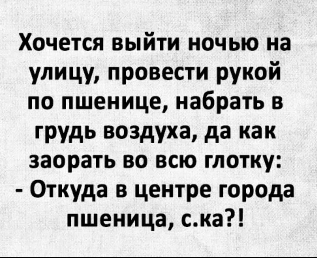 Хочется выйти ночью на улицу провести рукой по пшенице набрать в грудь воздуха да как заорать во всю глотку Откуда в центре города пшеница ска