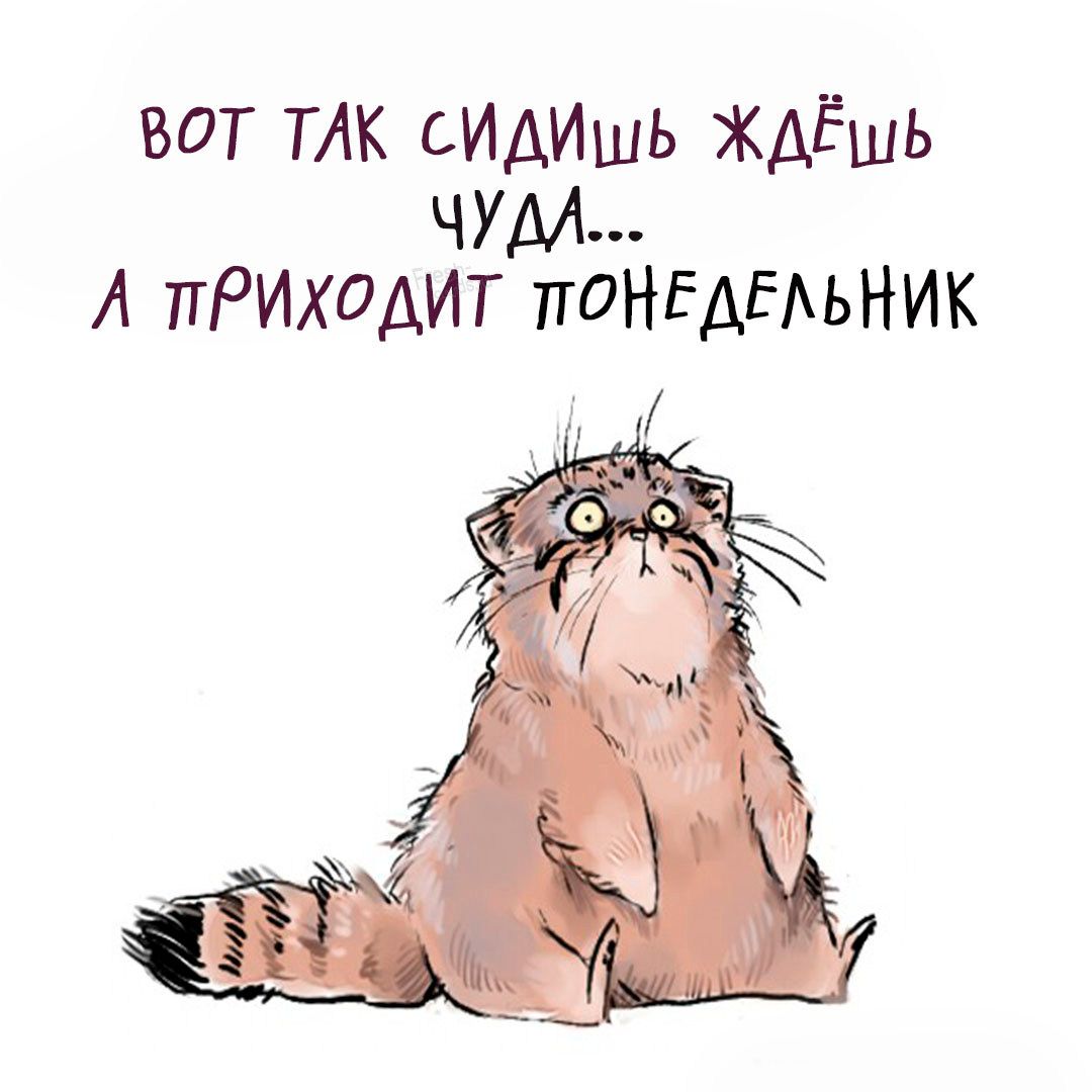 вот ТАк сИдИшь дЕшь чум А прихоАит ПОНЕДЕАЬНИК