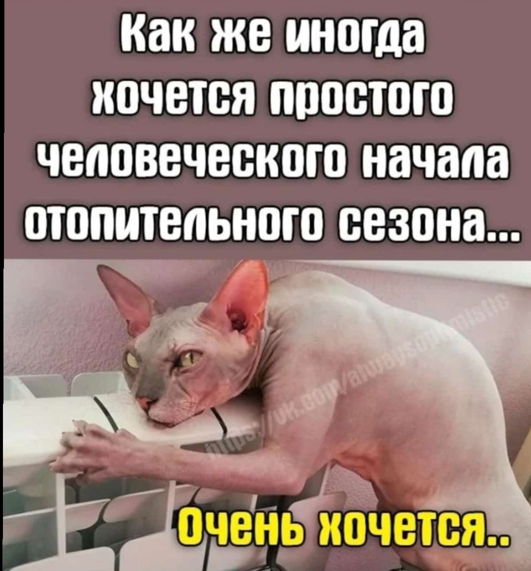 Как же иногда иочется пппсшга человеческого начала отопительного сезона