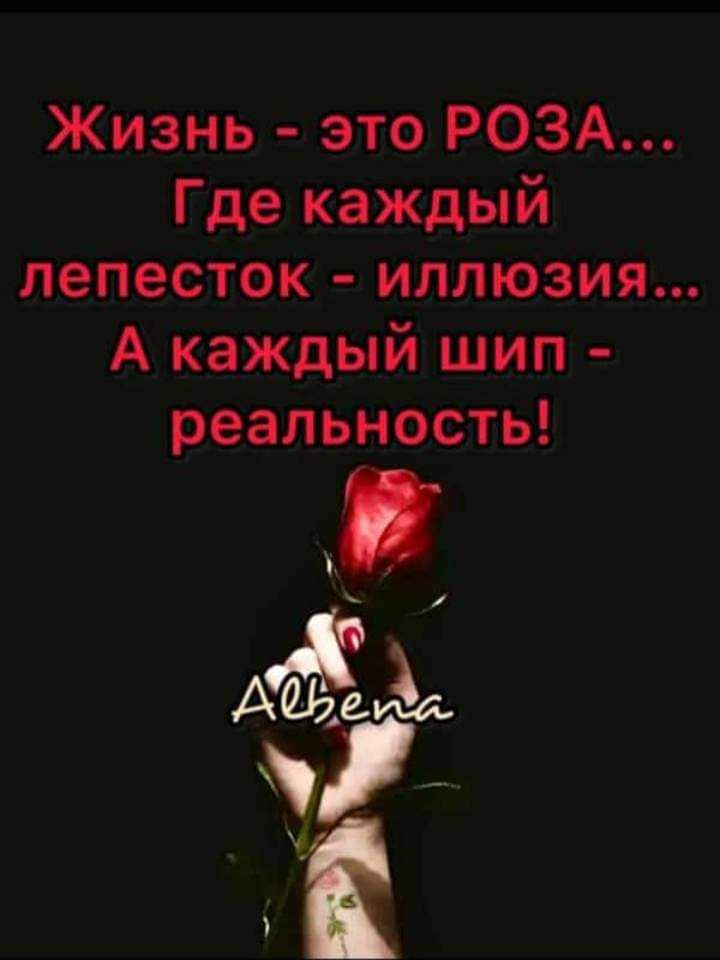 Жизнь это РОЗА Где каждый ЛЭПЕСТОК ИЛЛЮЗИИ А каждый шип реальность