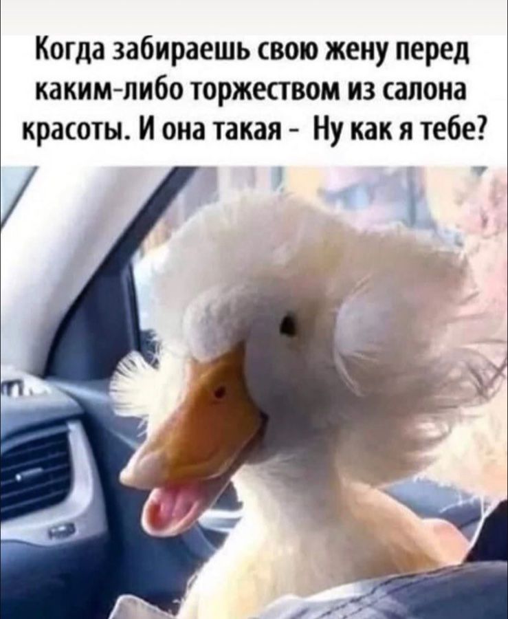 Когда забираешь свою жену перед каким либо торжеством из салона красоты И она такая Ну как я тебе