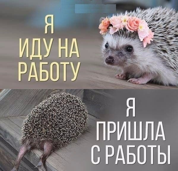 1 3 Идунд йУЁЁ РАБОТУ _дйд щ ПРИШЛА смюъі