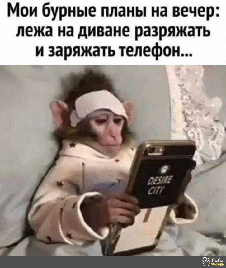 Мои бурные планы на вечер лежа на диване разряжать и заряжать телефон