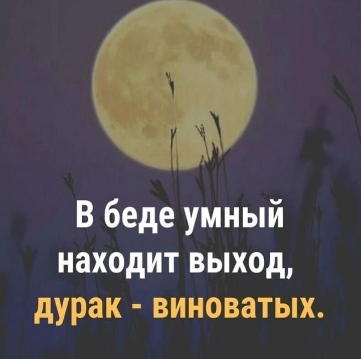 В беде умный находит выход дурак виноватых