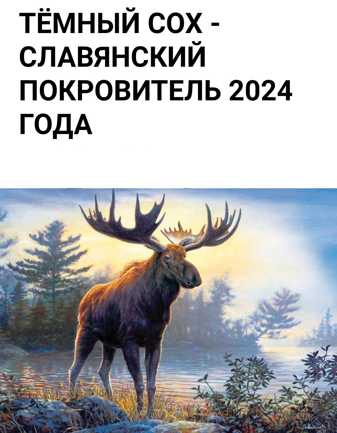 тёмный сох СЛАВЯНСКИЙ покровитвль 2024 ГОДА