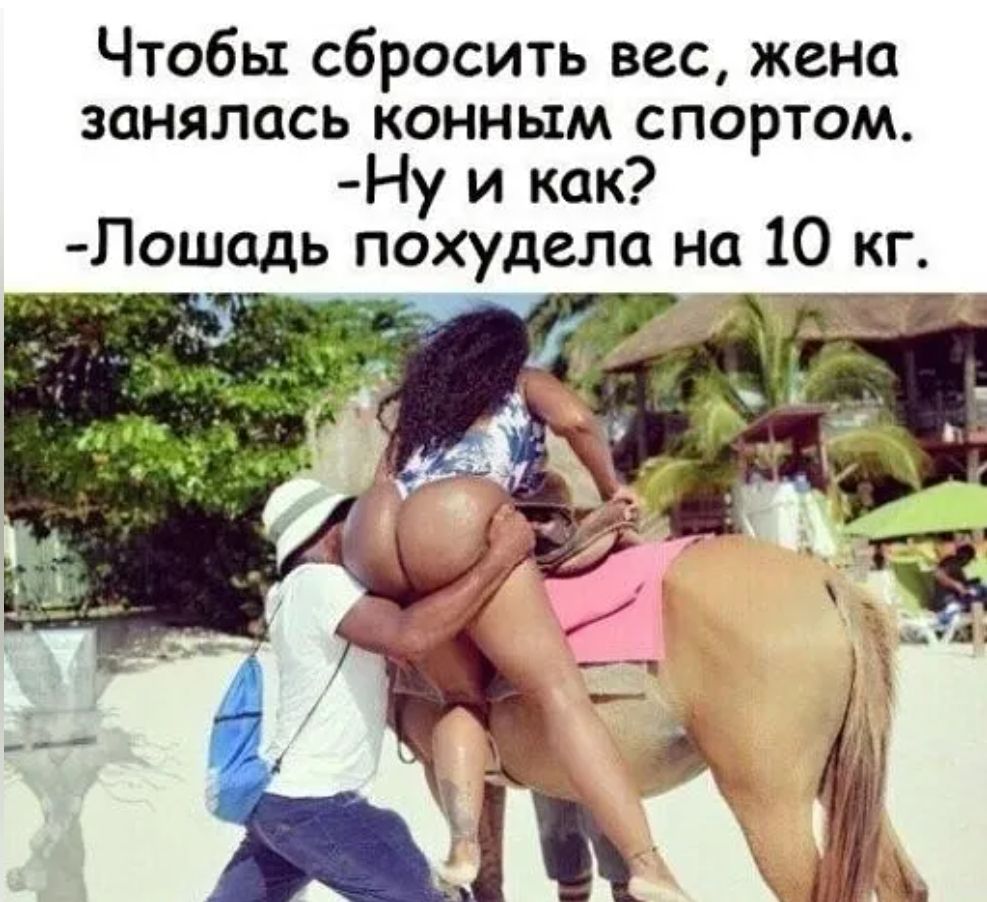 Чтобы сбросить вес жена занялась конным спортом Ну и как Лошадь похудела на 10 кг ФТ