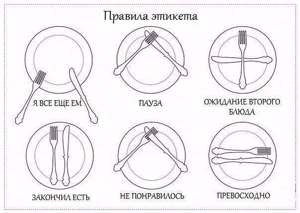 пв тихим явсвшлг втг эАкончидшъ кишитось пгквоокодна