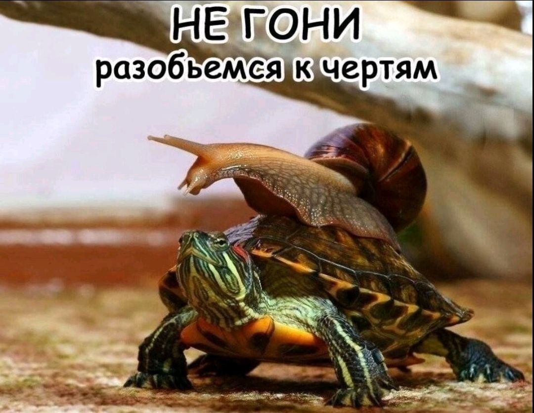 НЕ ГОНI разбоймся к чертям