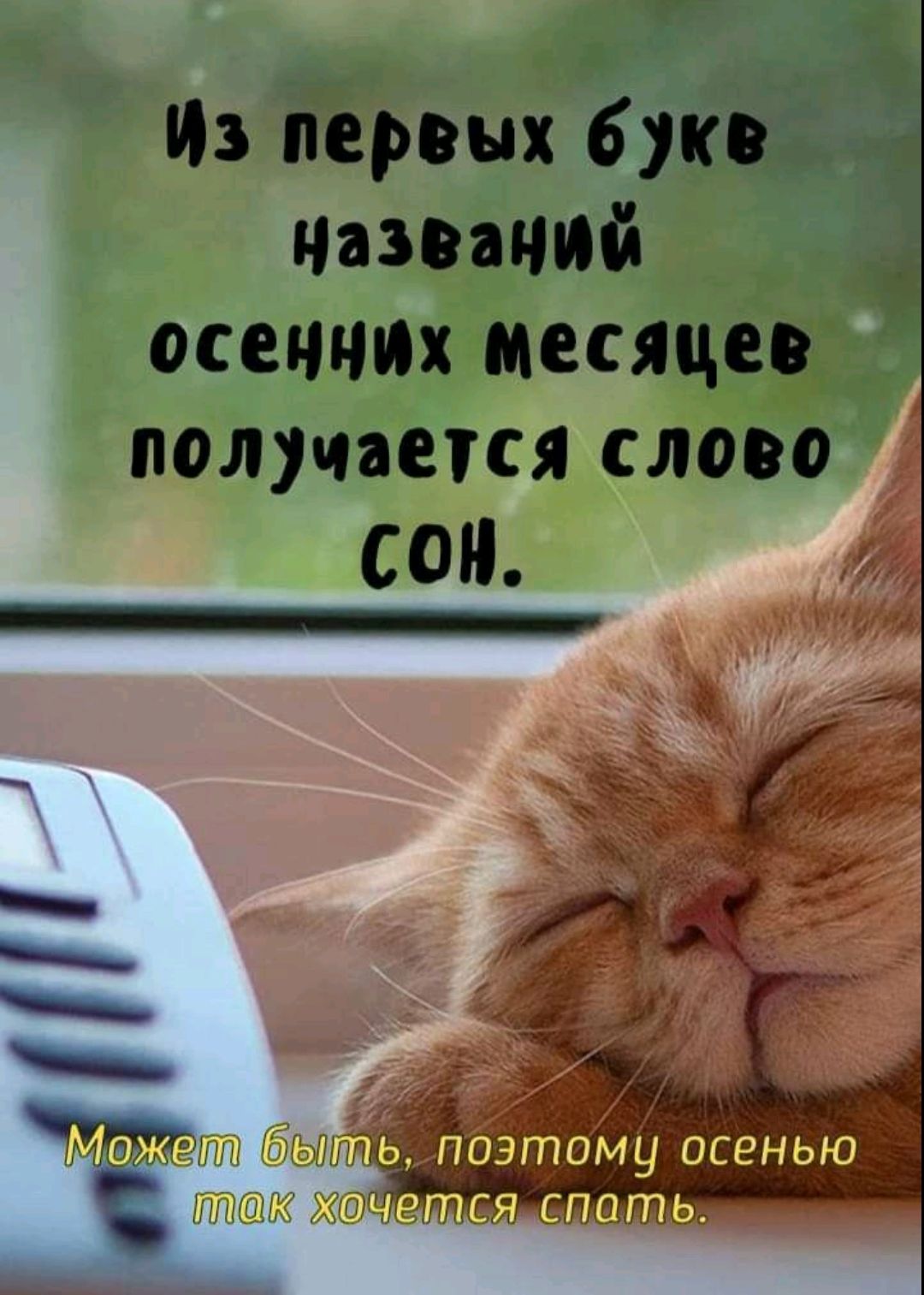 Из первых букв названий осенних месяцев получается слово СОН.
Может быть, поэтому осенью так хочется спать.