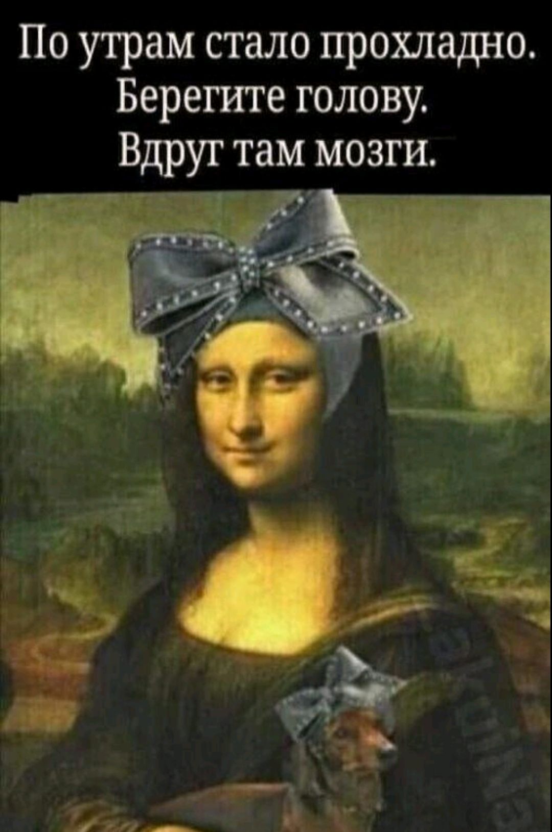 По утрам стало прохладно. Берегите голову. Вдруг там мозги.