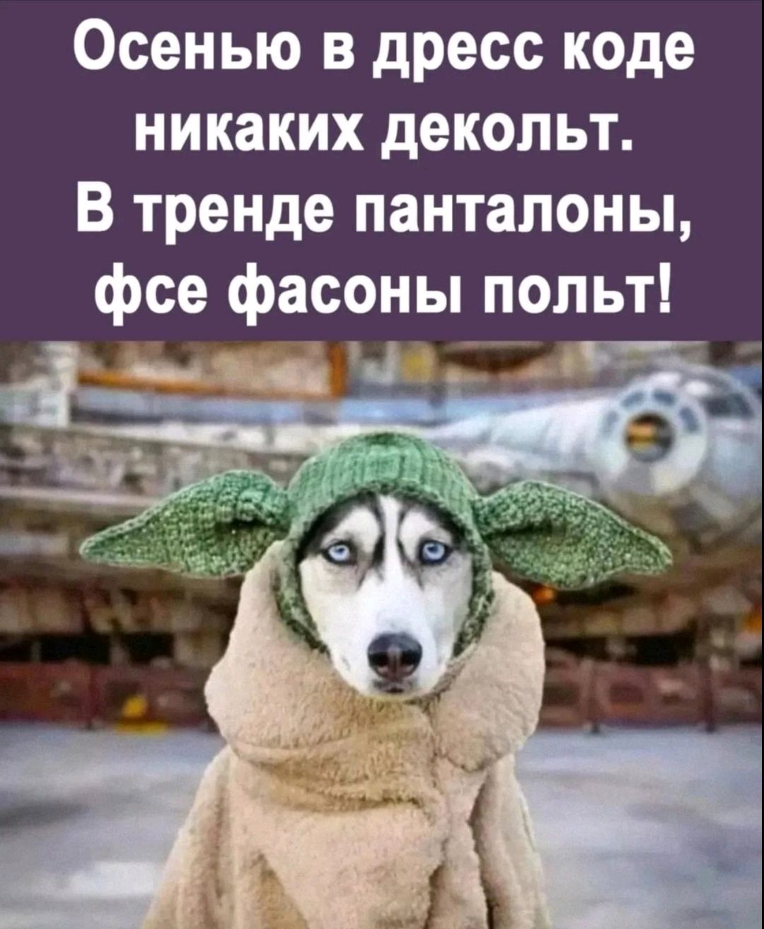 Осенью в дресс коде никаких декольт. В тренде панталоны, фсе фасоны полёт!