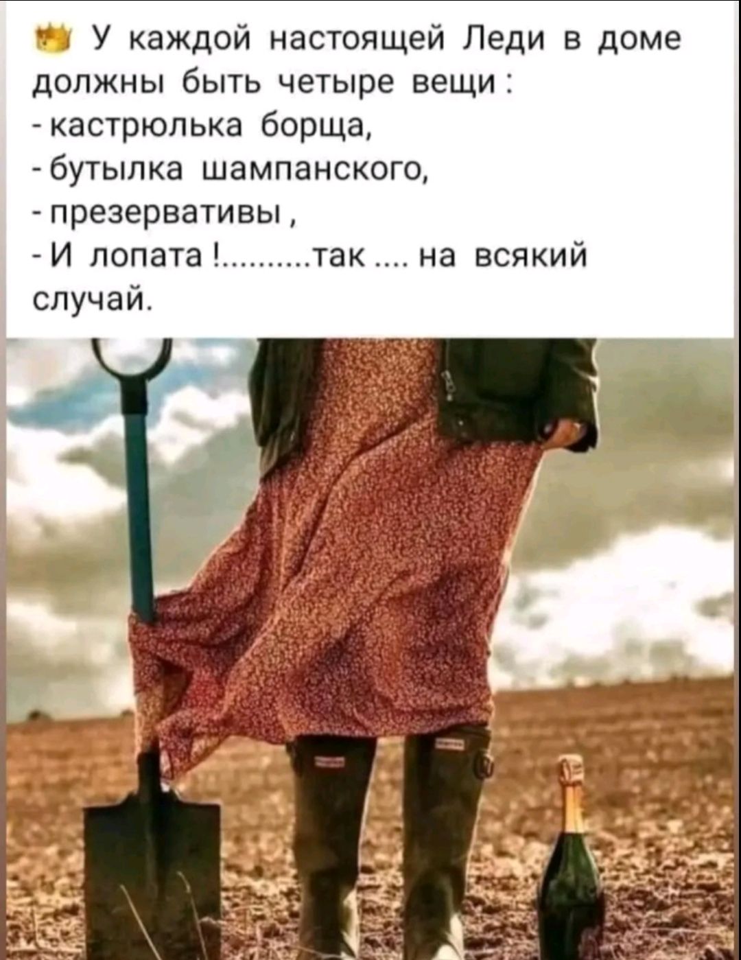 👑 У каждой настоящей Леди в доме должны быть четыре вещи : - кастрюлька борща, - бутылка шампанского, - презервативы, - И лопата .......... так ... на всякий случай.