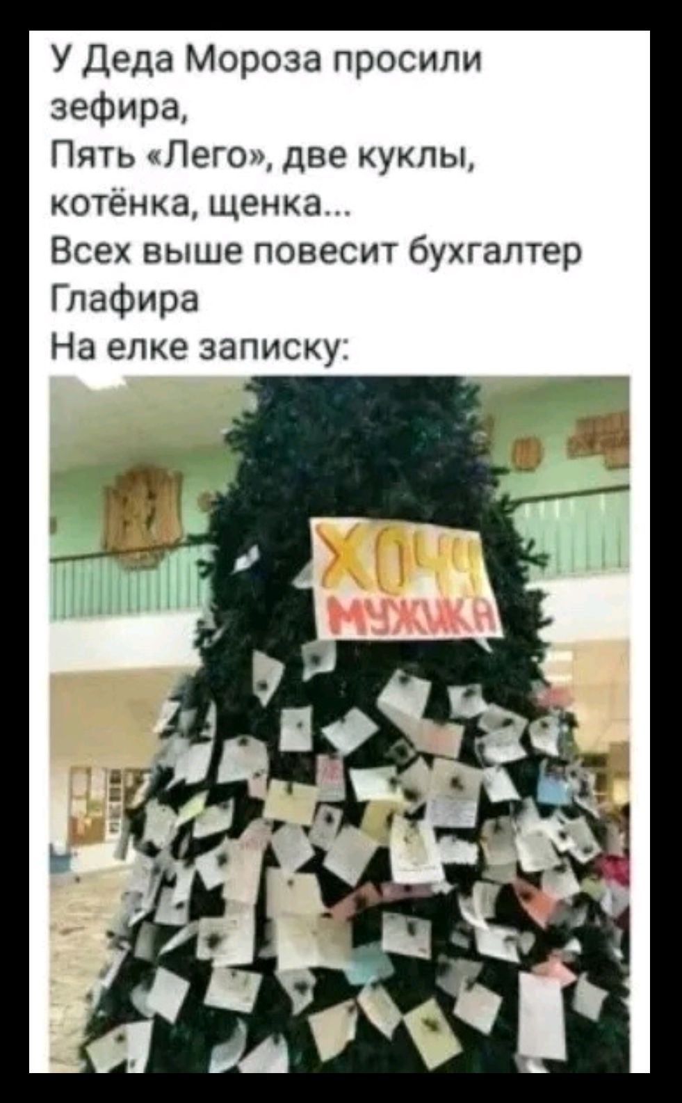 У Деда Мороза просили зефира,\nПять «Лего», две куклы,\nкотёнка, щенка...\nВсех выше повесит бухгалтер Глафира\nНа елке записку:\nХОЧУ МУЖЧИНУ