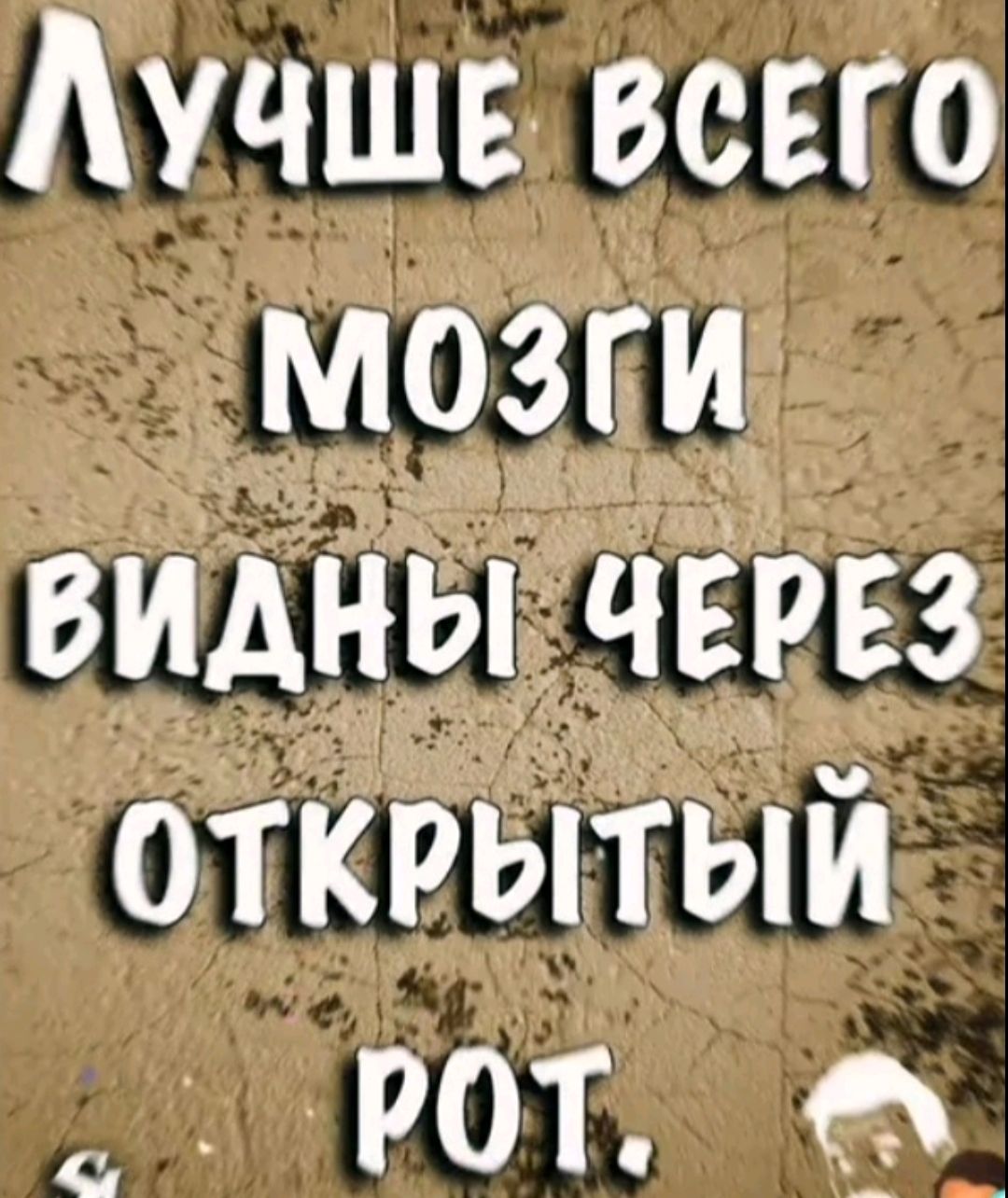 Лучше всего мозги видны через открытый рот.