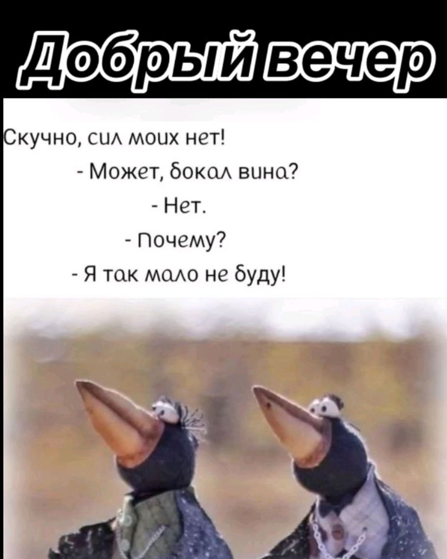 Добрый вечер
Скучно, сил моих нет!
- Может, докал вина?
- Нет.
- Почему?
- Я так мало не буду!