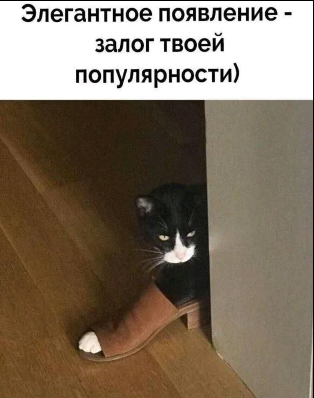 Элегантное появление - залог твоей популярности