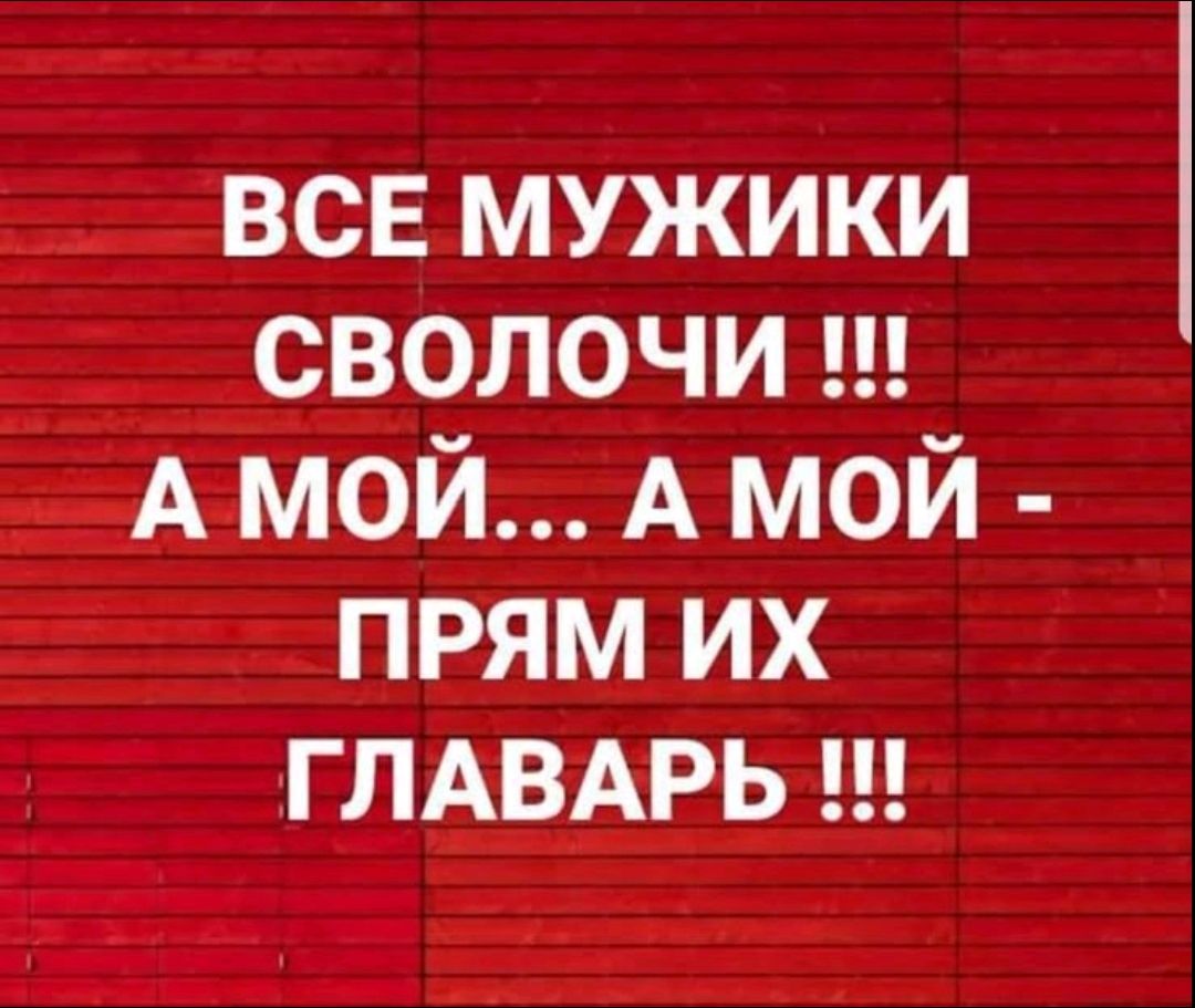 ВСЕ МУЖИКИ СВОЛОЧИ !!! А МОЙ... А МОЙ - ПРЯМ ИХ ГЛАВАРЬ !!!