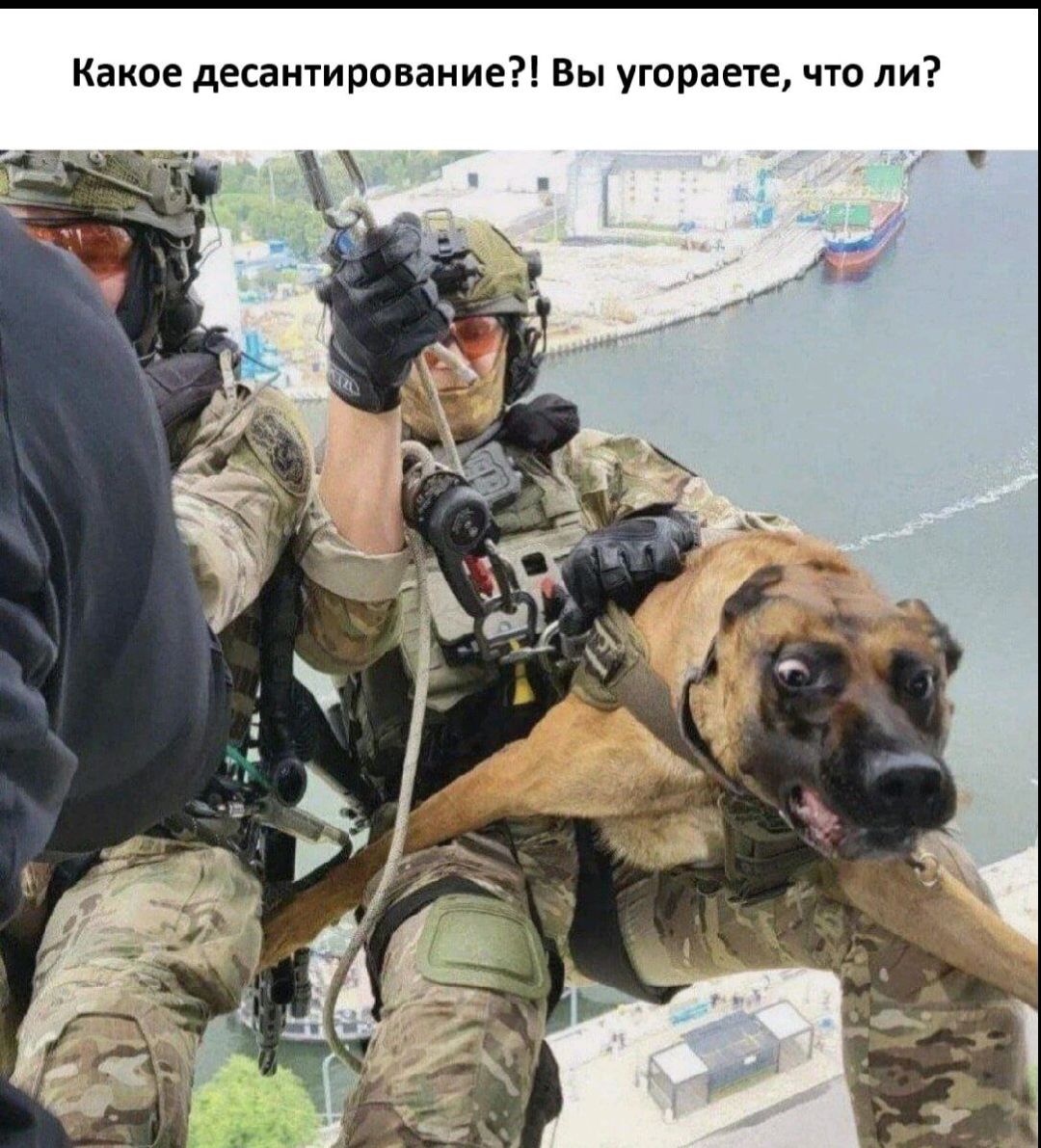 Какое десантирование?! Вы угоратеете, что ли?