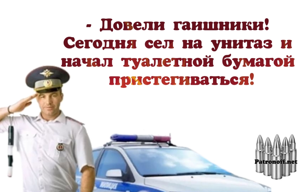 довели гаишники Сегодня сел на унитаз и начал туалетной бумагой пристегиваться