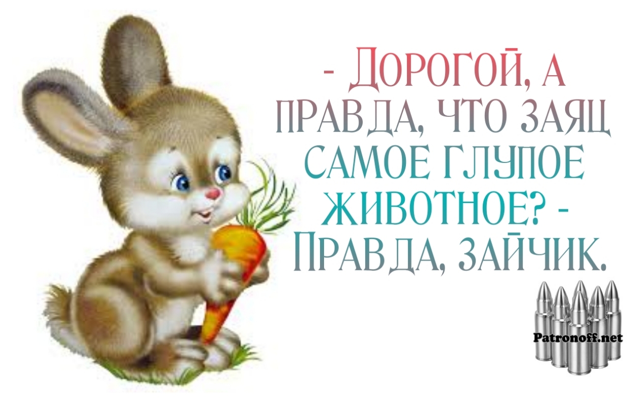 ЛОРОГОИА ПРАВДА что ЗАЯЦ д САМОЕ глнпов животновг ПРАВДА ЗАИЧИК