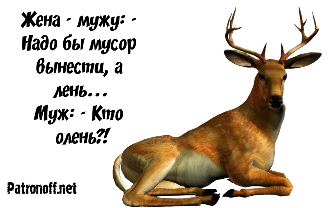 Жена мужу Надо бы мусор 6ынести а лень Муж Кто олень Раігопонлеі