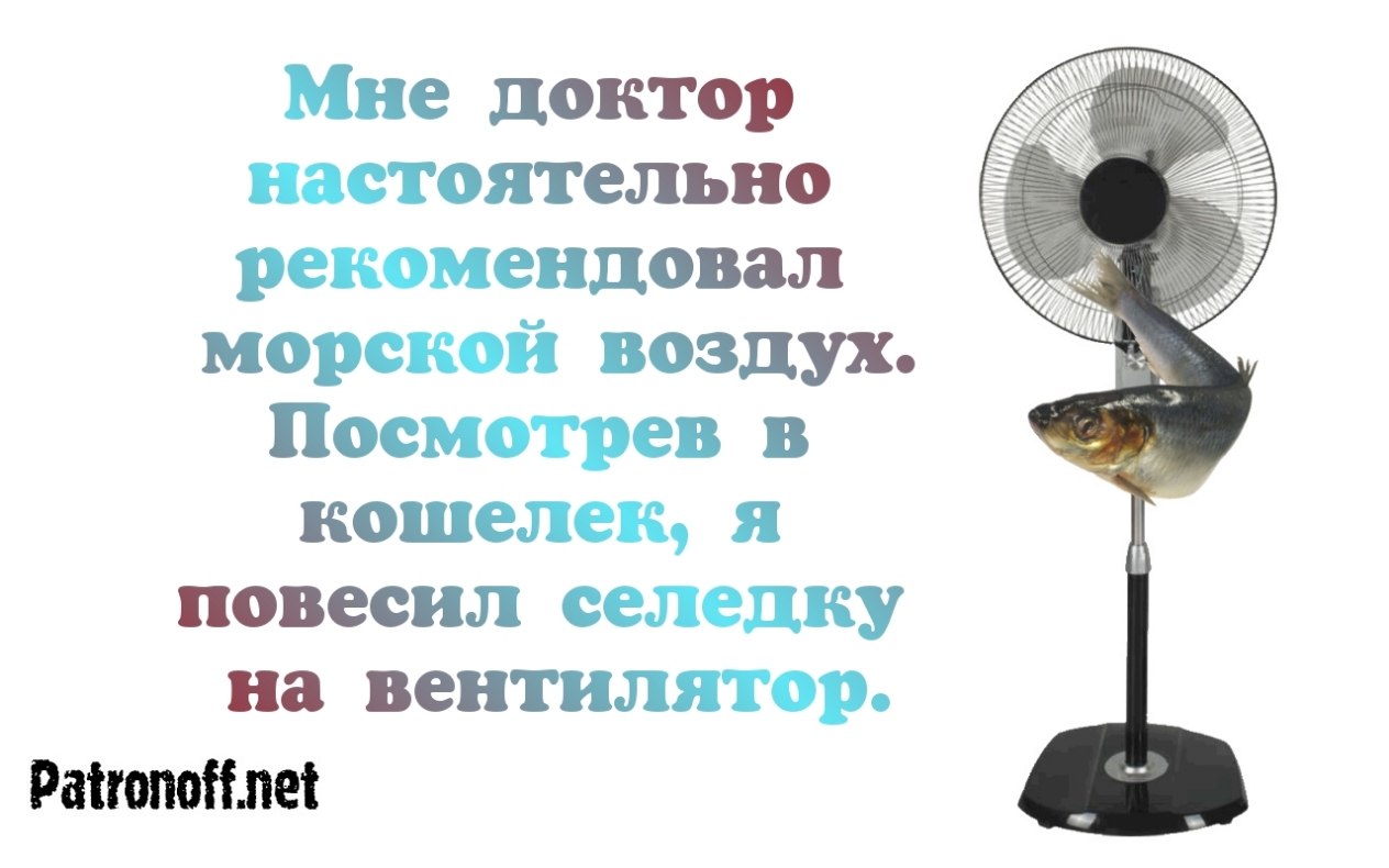 Мне доктор настоятельно рекомендовал морской воздух Посмотрев в кошелек я повеснл селедку на вентилятор Раіюпоіілеі