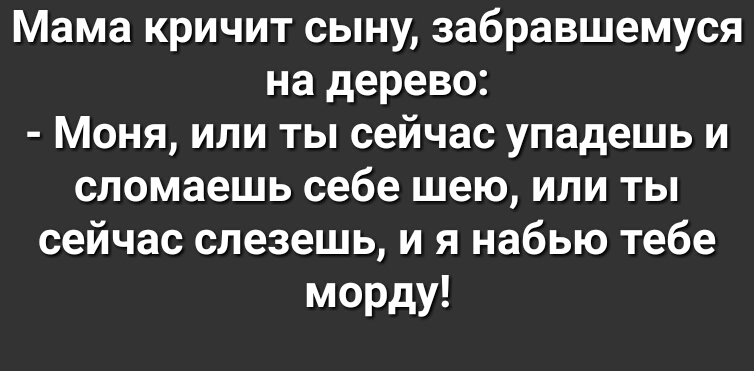 Мама кричит сыну забравшемуся на дерево Моня или ты сейчас упадешь и сломаешь себе шею или ты сейчас слезешь и я набью тебе морду