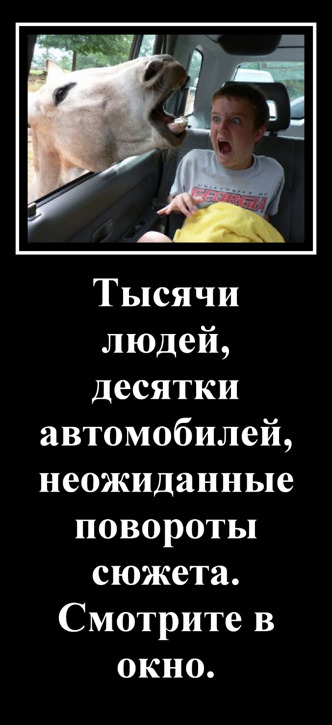 Тысячи людей Десятки автомобилей неожиданные повороты сюжета Смотрите В окно
