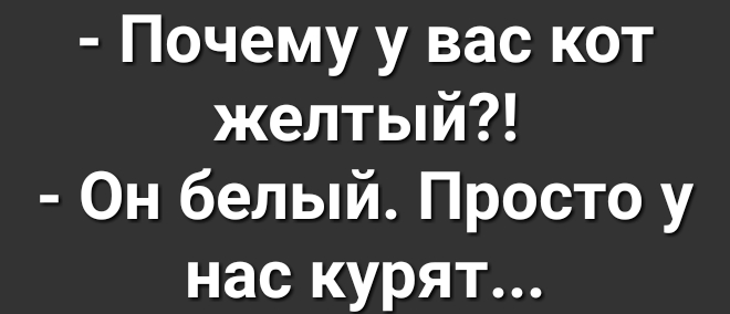Почему у вас кот желтый Он белый Просто у нас курят