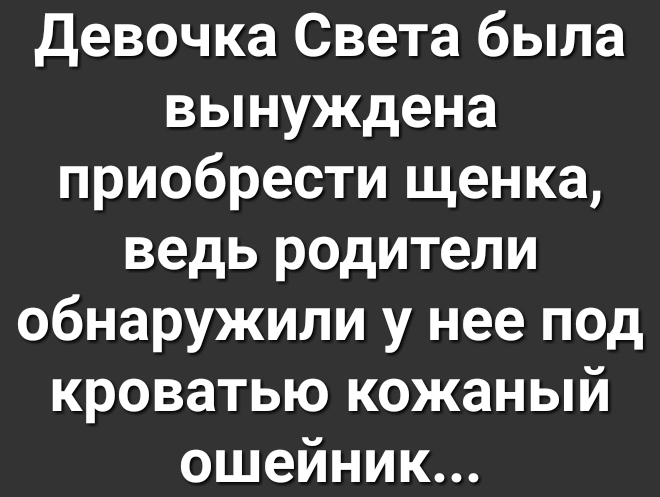 Девочка Света была вынуждена приобрести щенка ведь родители обнаружили у нее под кроватью кожаный еП 7 717