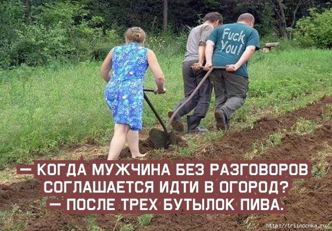 А коЁдА МУЖЧИНА БЕЗ РАзговоровЁд СОГЛАШАЕТСЯ идти в огород _ __ посл ТРЕХ Бутылок ПИВА ИЪЪРЪг11ппвикаги