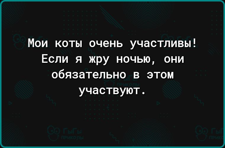 Мои коты очень участпивы Если я жру ночью они обязательно в этом участвуют