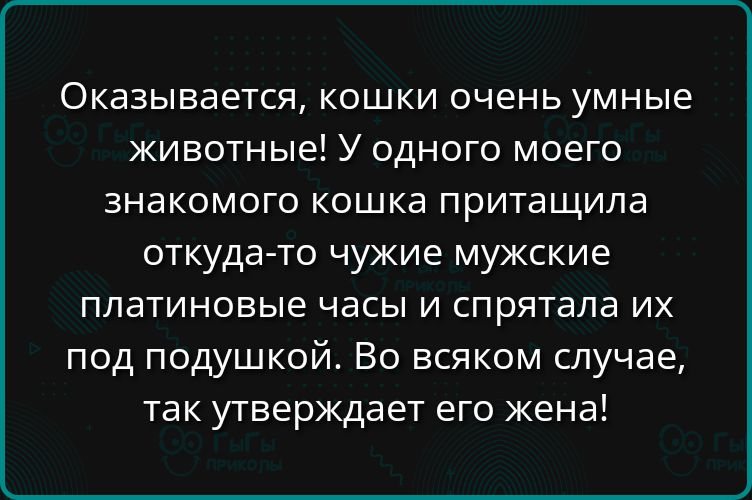 Оказывается, кошки очень умные животные! У одного моего знакомого кошка притащила откуда-то чужие мужские платиновые часы и спрятала их под подушкой. Во всяком случае, так утверждает его жена!