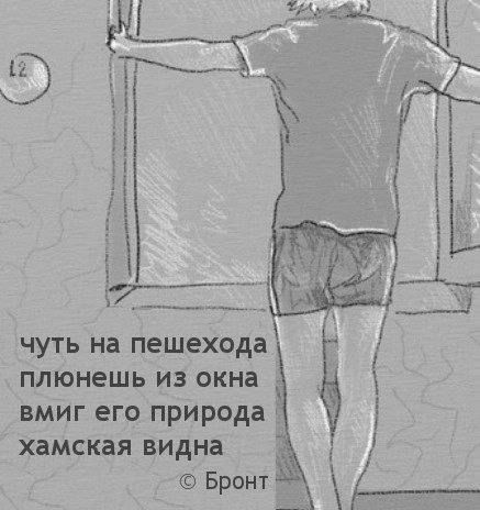 ЧУТЬ на пешехода плюнешь ИЗ окна вмиг его природа