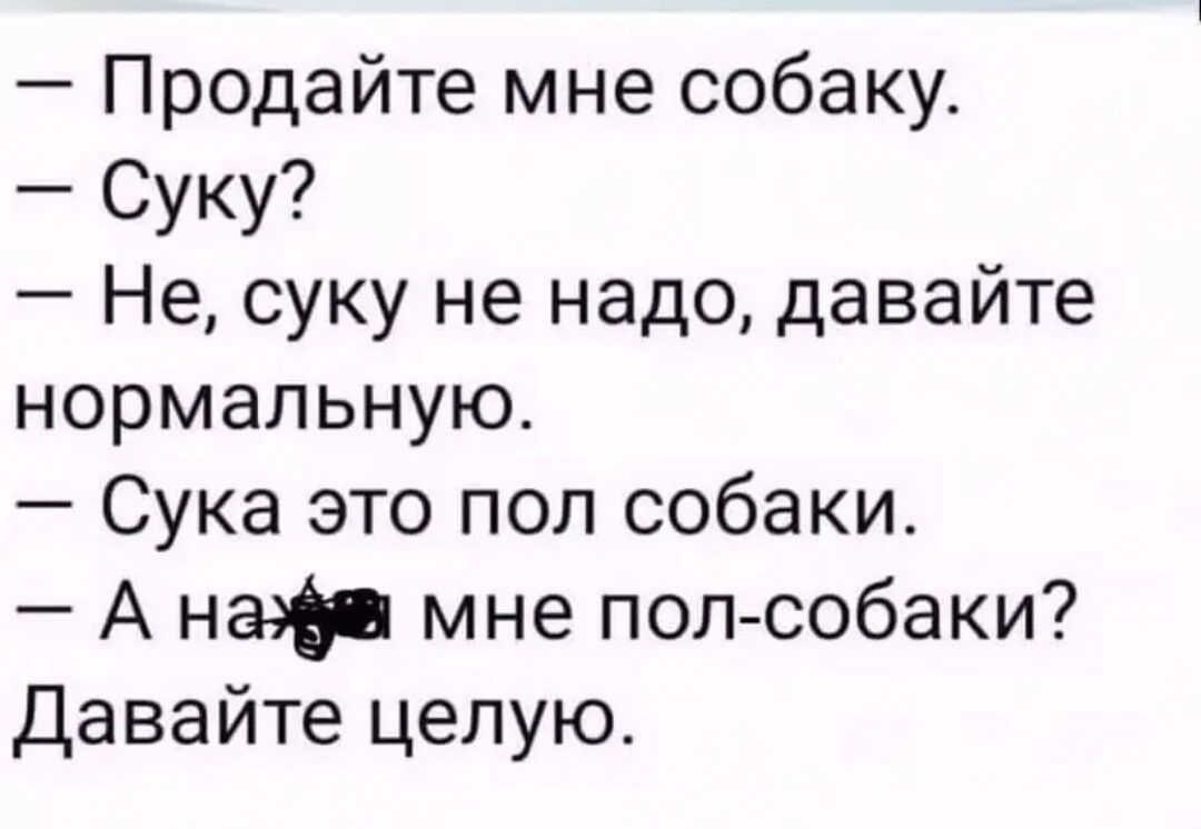 Продайте мне собаку Суку Не суку не надо давайте нормальную Сука это под собаки_ А на мне полсобаки Давайте целую