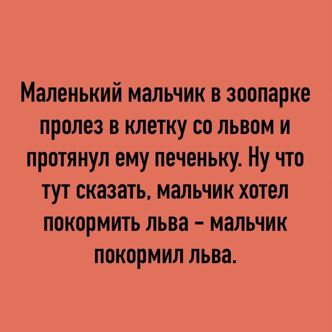 Маленький мальчик в зоопарке пролез в клетку со львом и протянул ему печеньку Ну что тут сказать мальчик хотел покормить льва мальчик покормил льва