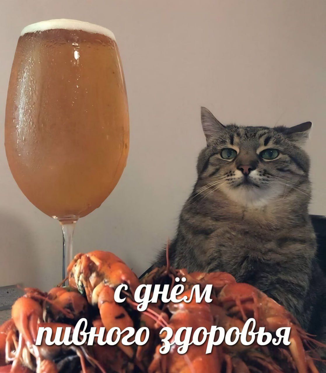 с днём пивного здоровья