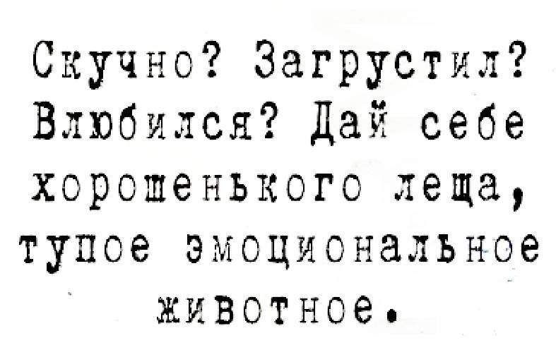 Скучно? Загрустил? Выбился? Дай себе хорошенького леща, тупое эмоциональное животное.