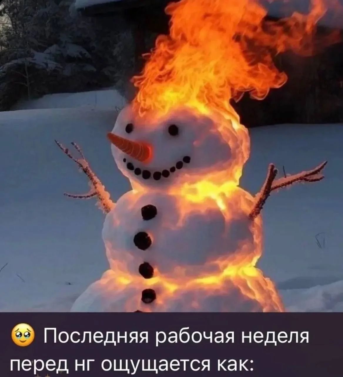 😳 Последняя рабочая неделя перед нг ощущается как: