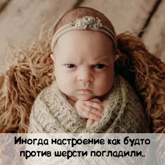 Иногда настроение как будто против шерсти поглодили