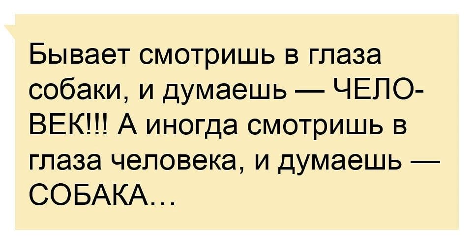 Бывает смотришь в глаза собаки и думаешь ЧЕЛО ВЕК А иногда смотришь в глаза человека и думаешь СОБАКА