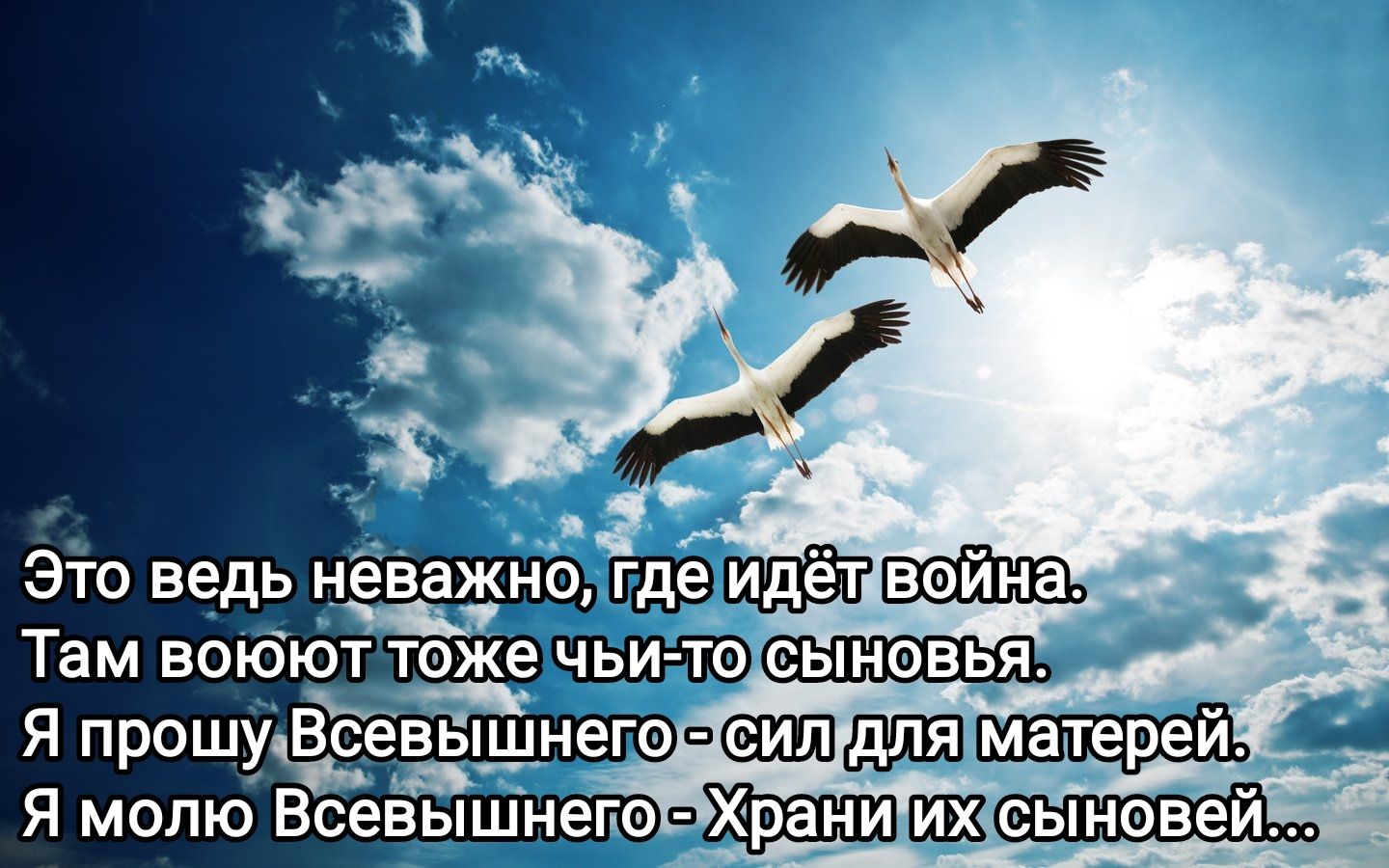 Это ведь неважно в ойна Там воюют тежеч ьи то сыновья Я прошушсевышнего авиша матерей Я молю Всевышнеге еыновей