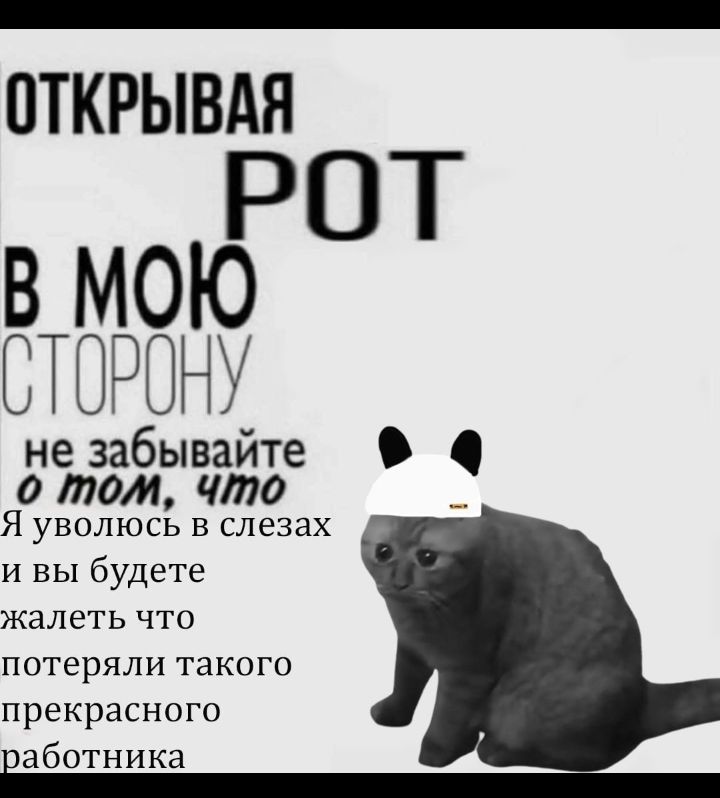 ОТКРЫВАЯ РОТ В МОЮ СТОРОНУ не забывайте О о том что Я уволюсь в слезах и вы будете жалеть что потеряли такого прекрасного аботника