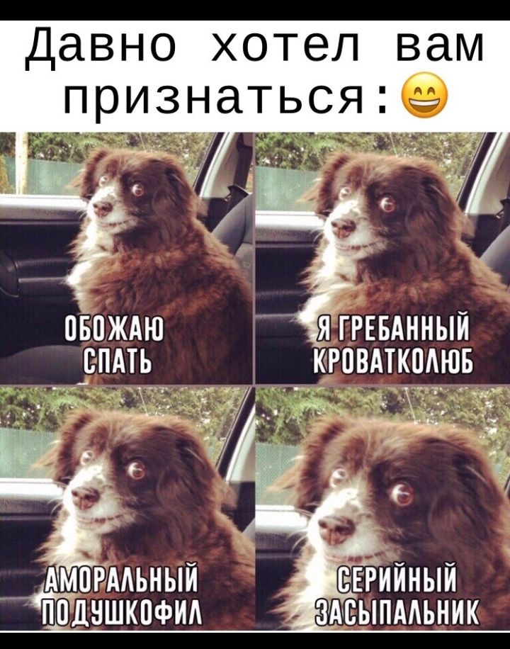 Давно хотел вам признаться8 пввждю рп АМПРААЬНЫЙ Е ЙЁДНШКПФИА ЗАСЫПААЬНИК