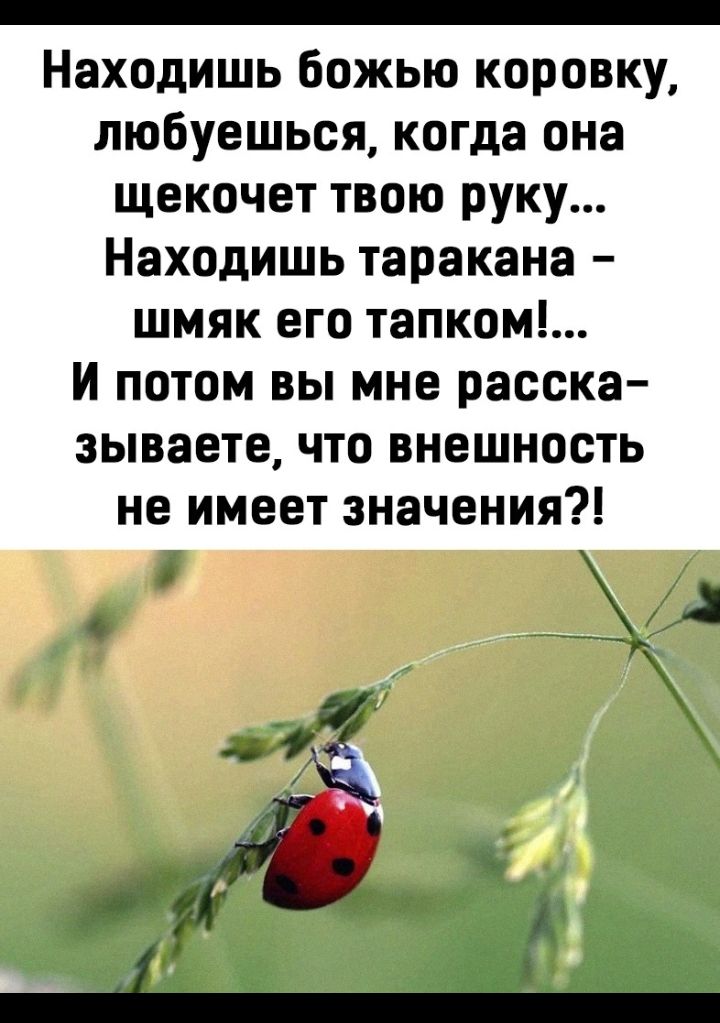 _ Находишь божью коровку любуешься когда она щекочет твою руку Находишь таракана шмяк его тапком И потом вы мне расска зываете что внешность не имеет значения